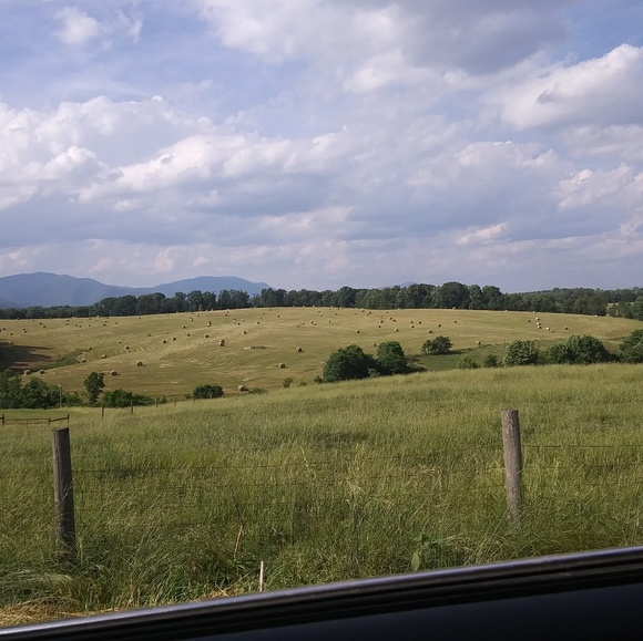 Meet your Posher, Margaret - Picture 1 of 1